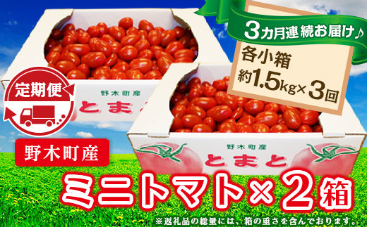 ミニトマト 定期便 3kg × 3回 【3カ月連続お届け】T09