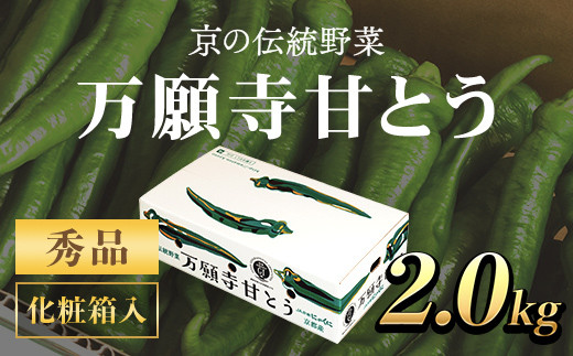 ＜2024年7月発送開始！＞京のブランド産品　万願寺甘とう　秀品 2kg  ふるさと納税 京野菜 旬の野菜 万願寺 甘とう とうがらし 大型 肉厚 甘い 京都府 福知山市