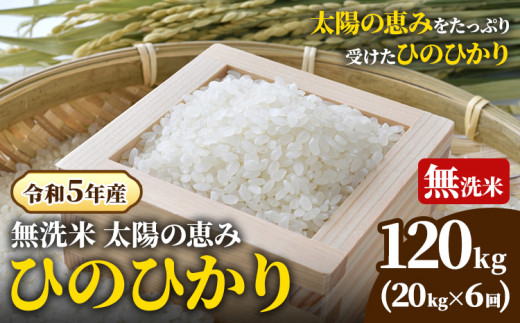 O-2_120k [令和5年産 先行受付] 岡山県産 ひのひかり 笠岡産 120kg 太陽の恵み (無洗米) ※ 期間限定 米粉プレゼント中です。