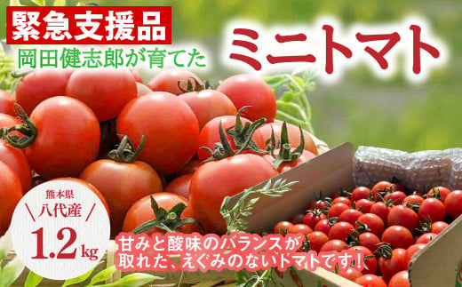 【緊急支援品】 野菜ソムリエ岡田健志郎が育てた ミニトマト 1.2kg