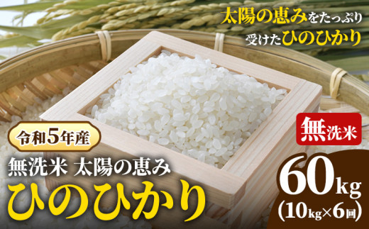 O-2_60k[令和5年産 先行受付] 岡山県産 ひのひかり 笠岡産 60kg 太陽の恵み (無洗米)※ 期間限定 米粉プレゼント中です。