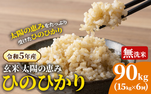 O-2_90k [令和5年産 先行受付] 岡山県産 ひのひかり 笠岡産 90kg 太陽の恵み (玄米)※ 期間限定 米粉プレゼント中です。