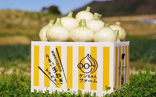 ＼うまい玉ねぎできたでー／
ケンちゃんファームの特別栽培・新玉ねぎ5㎏
～ひょうご安心ブランド認証取得～