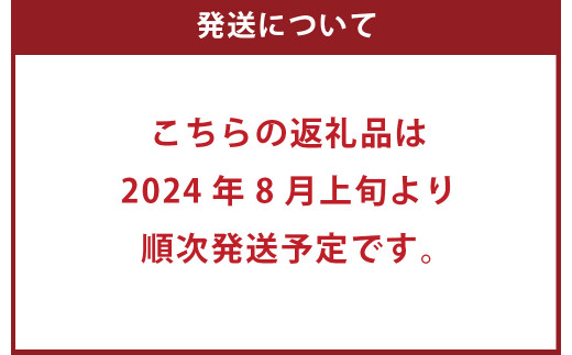 豊水梨 5〜20玉入