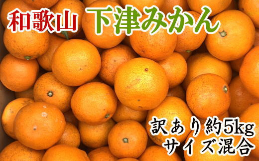 【訳あり】和歌山下津みかん約5kgご家庭用向け(サイズ混合)　※2024年11月中旬～1月中旬頃順次発送予定（お届け日指定不可）【tec949】 1527478 - 和歌山県すさみ町