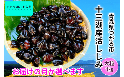 [配達時期が選べる] さとうしじみ屋の十三湖産活しじみ(大粒1kg)[冷蔵]|十三湖産 青森 津軽 つがる しじみ みそ汁 味噌汁 しじみ汁 活しじみ 冷蔵 [0589-0601]