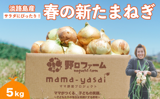 子どもたちが丸ごと食べれる♪春の新たまねぎ５kg 660802 - 兵庫県南あわじ市