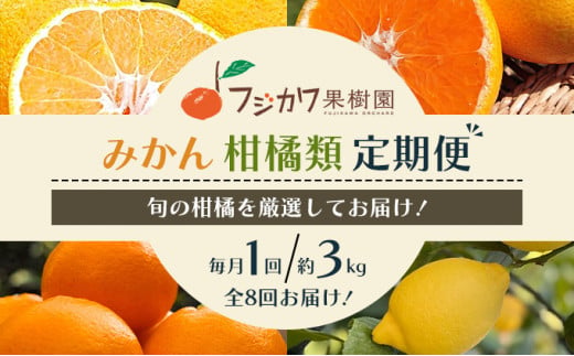 頒布会 彩り柑橘 8回定期便 553657 - 香川県観音寺市