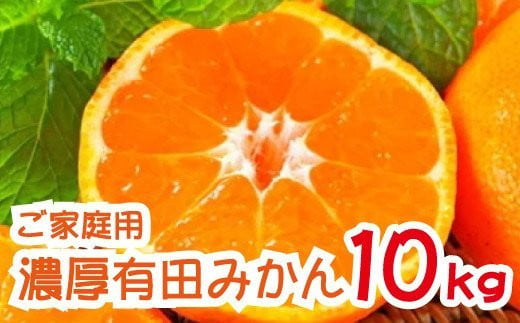 ＜12月上旬～＞農園直送!完熟有田みかん【サイズ混合】10kg ※2024年12月上旬～12月下旬頃に順次発送予定　 1238569 - 和歌山県太地町