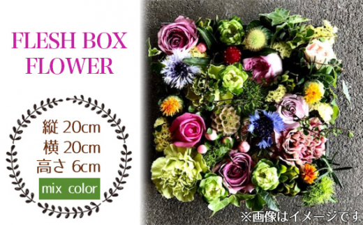 No.026-06 FLESH BOX FLOWER（mix color系） ／ ボックスフラワー お花 癒し ギフト おしゃれ 愛知県 1238789 - 愛知県飛島村