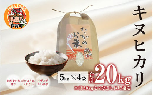 【令和5年産】キヌヒカリ20kg おいしい多賀のお米 [C-00401]