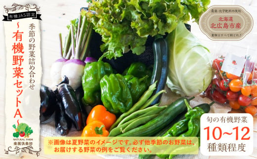 【有機JAS認定】季節の野菜 詰め合わせ 10種類～12種類程度 有機野菜セットA 北海道北広島市 310971 - 北海道北広島市