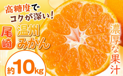 尾崎 温州 みかん 約 10kg ｜ 柑橘 フルーツ 果物 名産地 天水 熊本県 玉名市 くまもと たまな