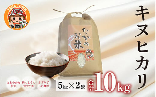 【令和5年産】キヌヒカリ10kg（5kg × 2袋） おいしい多賀のお米 [B-00401] 637773 - 滋賀県多賀町