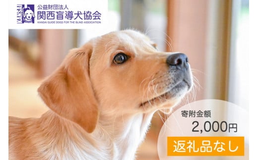 【返礼品なし】盲導犬の育成を応援しよう！（2,000円単位でご寄附いただけます。※3割を盲導犬育成に活用）