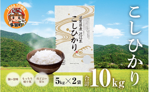 【令和5年産】こしひかり 10kg（5kg × 2袋） BG無洗米[B-00402] 637775 - 滋賀県多賀町