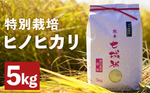 つるたファームの極ヒノヒカリ 5kg お米 ご飯 990213 - 熊本県菊池市