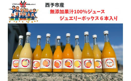 西予市産柑橘ジュエリーボックス6本入り（無添加果汁100％ジュース） 232484 - 愛媛県西予市
