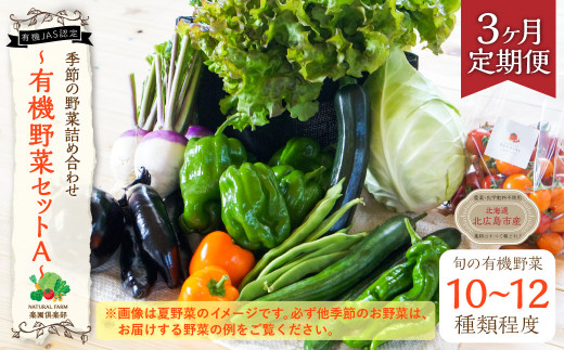 【3ヶ月定期便】有機JAS認定 季節の野菜 詰め合わせ ～有機野菜セットA～