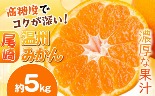 尾崎 温州 みかん 約 5kg | 果物 柑橘 フルーツ 名産地 天水 熊本県 玉名市 くまもと たまな