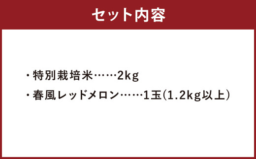 七城の恵みまるごと詰め合わせＡ(特別栽培米 2kg・春風レッドメロン 1玉)