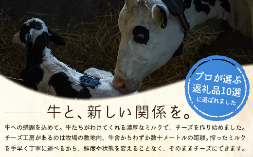 竹下牧場 takeshita farm【定期便６ヶ月】まるごとチーズセット 計560g