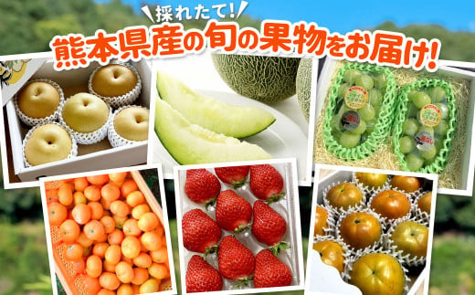 【年６回定期便】熊本県果物定期便 採れたて旬の果物をお届け！ 