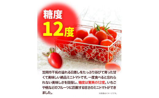 C-39a フルーツトマト 1kg 箱 ZEPPIN TOMATO OKAYAMA （ZEPPIN　EX)