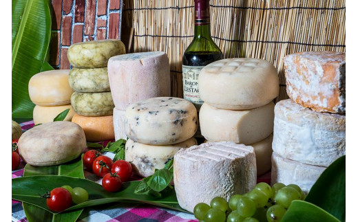 チーズガイこと英国紳士ジョンさんのナチュラルチーズ人気の4種と季節