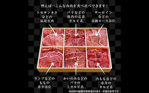 例えば…こんなお肉を食べ比べ
霜降り肉/カルビ系/高級ロース/ももの希少部位/上カルビ系/赤身のカルビ系など♪