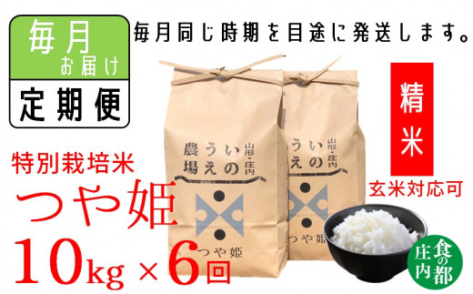 【定期便6回】【精米】井上農場の特別栽培米　つや姫10kg×6回（計60kg）