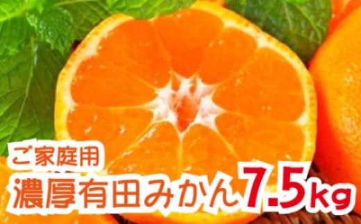 【先行予約】【2024年12月発送】農園直送！完熟有田みかん 約7.5kg 予約 和歌山 有田みかん みかん【12月発送】 1239032 - 和歌山県串本町