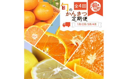 G60-T48_【定期便 全4回】紀州和歌山産 旬の柑橘セット（みかん・ポンカン・レモン・清見）