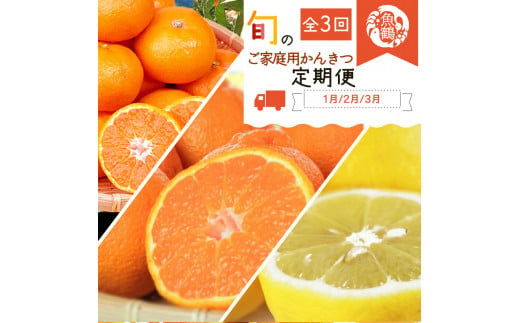 G60-T45_【定期便 全3回】紀州和歌山産 旬の ご家庭用 柑橘セット（みかん・不知火・レモン）