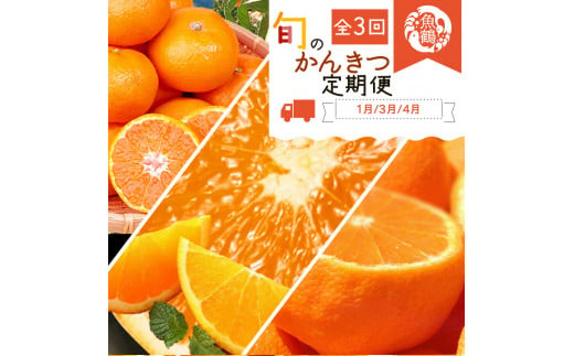 G60-T44_【定期便 全3回】紀州和歌山産 旬の柑橘セット（みかん・紀州デコ・清見）