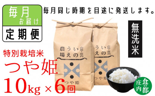 【定期便6回】【無洗米】井上農場の特別栽培米　つや姫10kg×6回（計60kg）