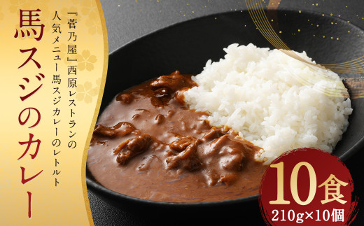 馬スジの カレー 10食 セット 計2.1kg 1218105 - 熊本県人吉市