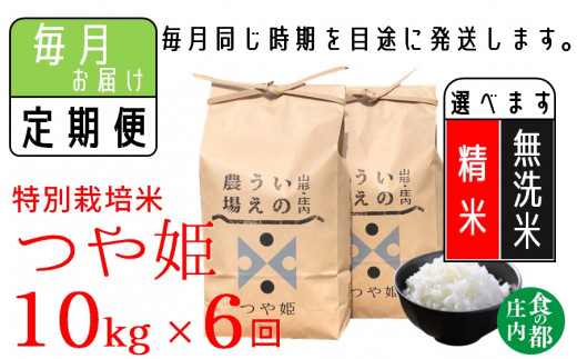 食の都庄内　【定期便6回】井上農場の特別栽培米　つや姫10kg×6回（計60kg）【精米】または【無洗米】選べます！