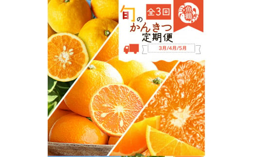 G60-T33_【定期便 全3回】紀州和歌山産 旬の柑橘セット（清見・なつみ・甘夏）