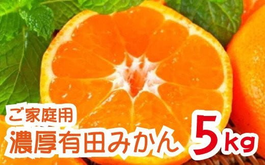 【先行予約】【2024年12月発送】 農園直送！完熟有田みかん 約5kg 予約 和歌山 有田みかん みかん【12月発送】【ard002B-2】 1239030 - 和歌山県串本町