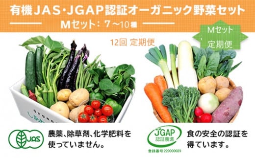 ２０１１　野菜 オーガニック 野菜 Ⅿセット×12回 定期便 有機JAS認証 有機野菜 しあわせ野菜畑