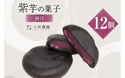 お菓子 筑紫野 初月12個入 [菓子工房 小野農園 福岡県 筑紫野市 21760730] 和菓子 個包装 芋菓子 いも菓子 おやつ スイーツ 紫芋 芋 お芋 むらさきいも 1239857 - 福岡県筑紫野市