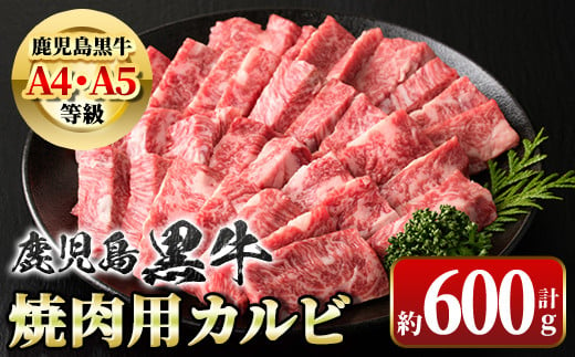 A01018 鹿児島県産黒毛和牛カルビ焼肉用(約600g) 【新村畜産】