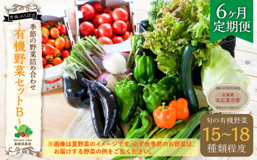 【6ヶ月定期便】有機JAS認定 季節の野菜 詰め合わせ～有機野菜セットB～