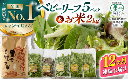 【全12回定期便】有機野菜 ベビーリーフ (200g×5パック) お米 2kg 計3kgセット 山都町産 産地直送 高原野菜  有機JAS認証取得【株式会社 清和ミネラル会】[YBT004]