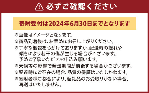 【4か月連続定期便(2024年7月～10月)】シャインマスカット定期便4ヵ月