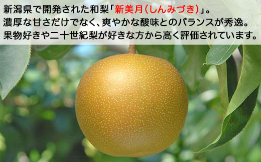 新潟県で開発された和梨「新美月（しんみづき）」。濃厚な甘さだけでなく、爽やかな酸味とのバランスが秀逸です。