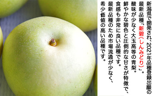 新潟県で開発され、2021年品種登録出願の最新品種「新碧（しんみどり）」。鮮やかな碧色と圧倒的な甘さが特徴です。