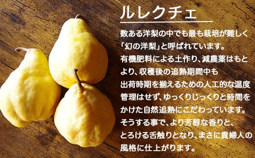 新潟の冬の果物といえば「ルレクチェ」。
数ある洋梨の中でも最も栽培が難しく幻の洋梨と呼ばれています。