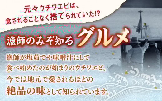 大人気の平戸ウチワエビ！旨みと甘みのしゃぶしゃぶセット。